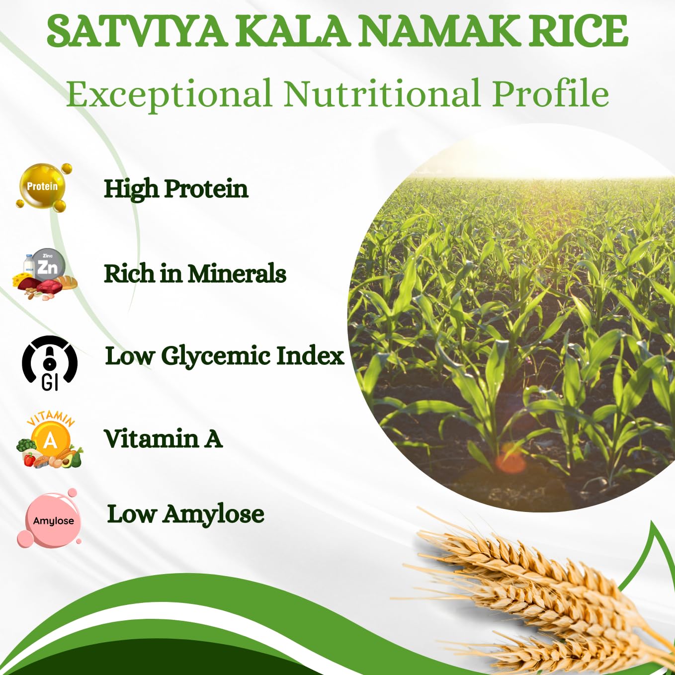 Satviya Kalanamak Diabetic Low GI Rice Unpolished Buddha Rice, Kala Namak Chawal for Diabetics, Blood Sugar Friendly, Protein Powerhouse: Iron & Zinc Rich Whole Grain.