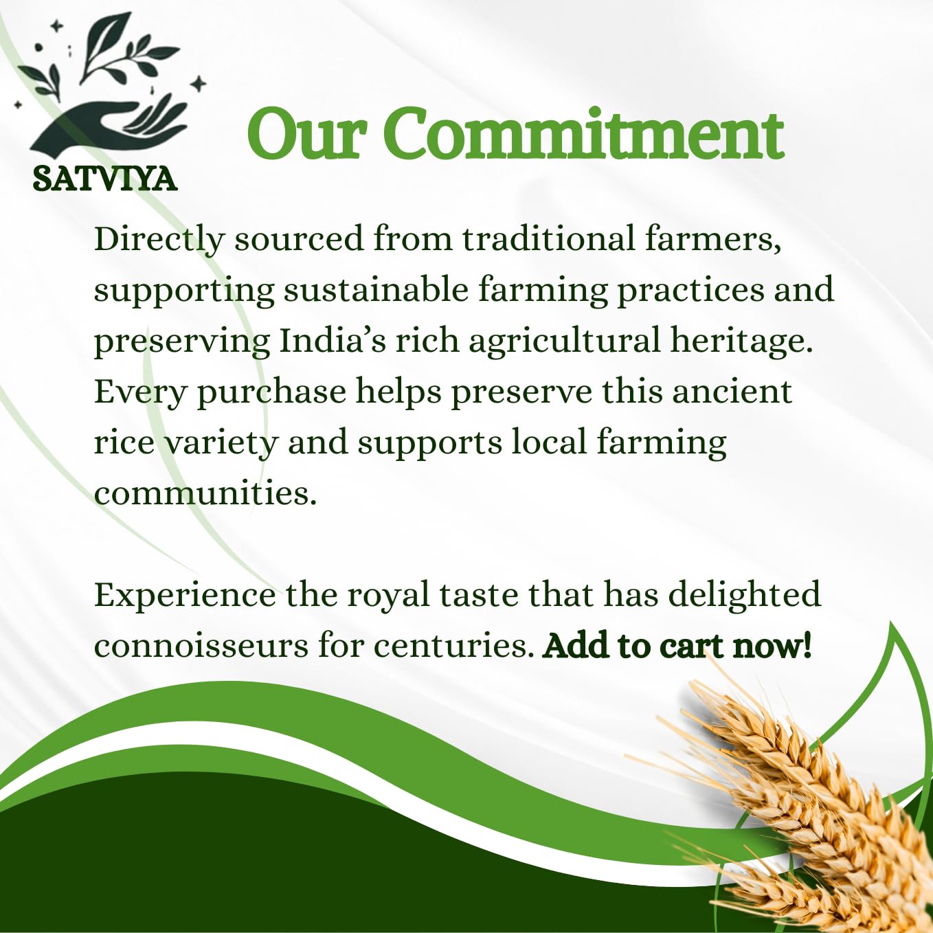 Satviya Kalanamak Diabetic Low GI Rice Unpolished Buddha Rice, Kala Namak Chawal for Diabetics, Blood Sugar Friendly, Protein Powerhouse: Iron & Zinc Rich Whole Grain.